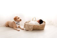 Hazur