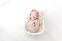 Archie - Newborn