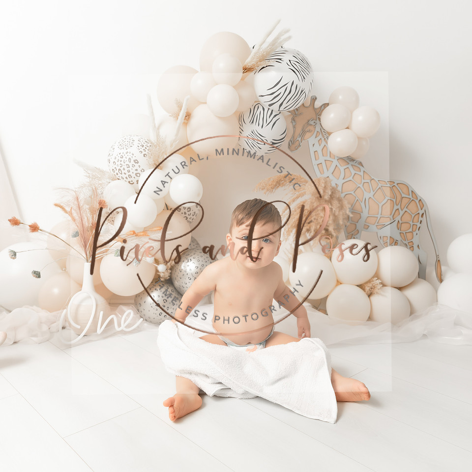 Wild One themed cake smash session in Derby Nottingham