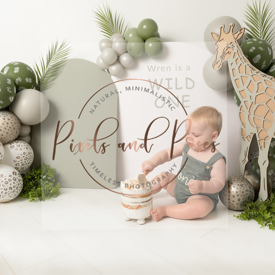 Wild One themed cake smash session in Derby Nottingham