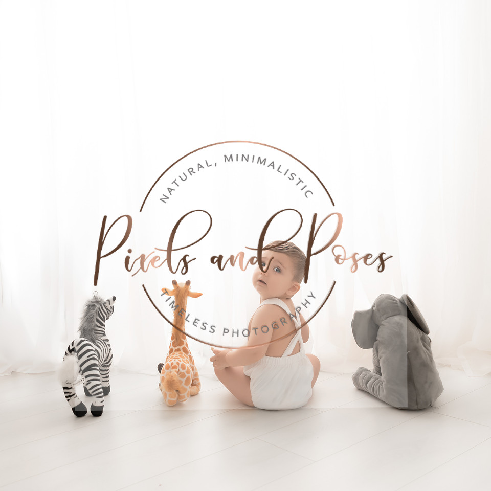 Neutral Wild One cake smash baby photography setup
