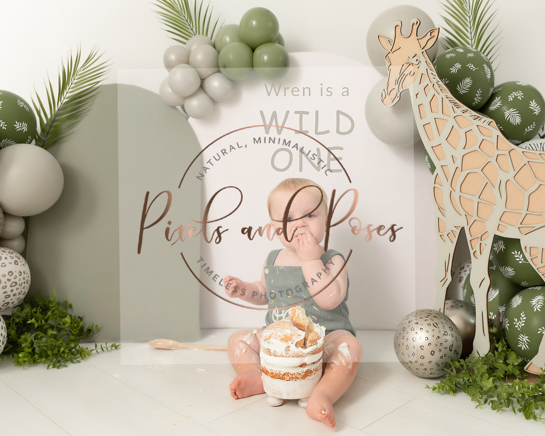 Sage Green Wild One cake smash baby photography setup