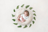 Rowan