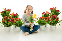 Amber -Tulips