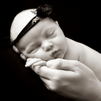 Olive-Rose (Sepia)