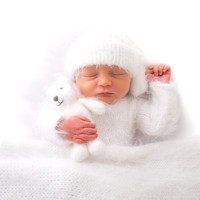 Teddy